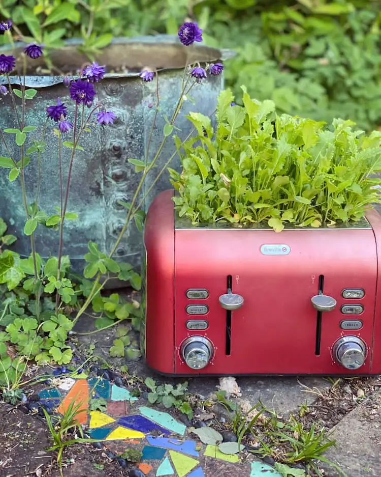 einen alten toaster gleichzeitig als stilvolle gartendekoration und pflanzgefäß für mini kräutergarten recyceln