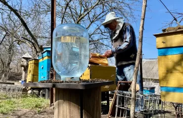 erfahrener imker füttert bienen am bienenstock mit zuckerlösung im einmachglas