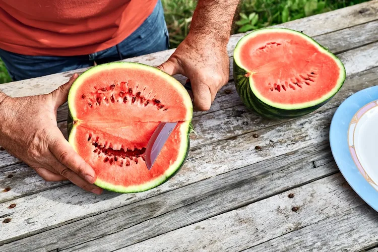 gesunde-und-erfrischende-frucht-im-sommer-wassermelone-richtig-schneiden