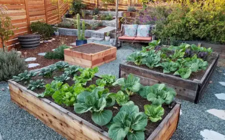 hochbeet aus paletten bauen und befüllen schritt für schritt anleitung