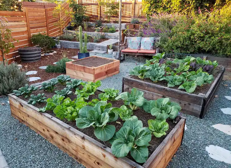 Build and fill a raised bed from pallets - step-by-step instructions