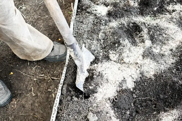 wood ash as fertilizer in beds or for potted plants