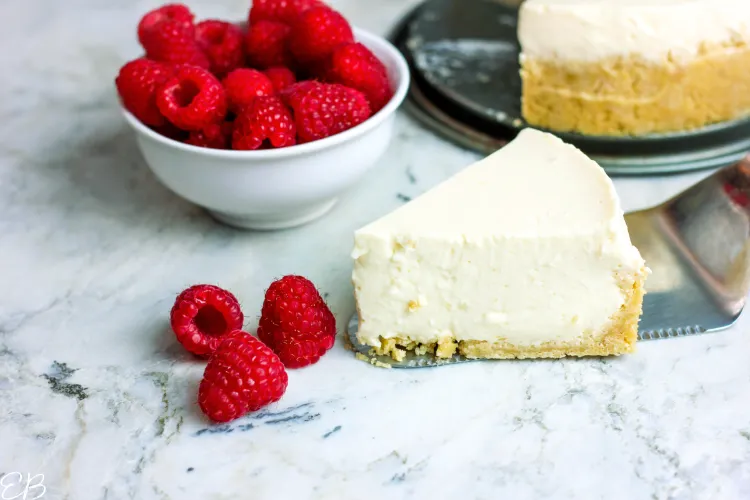 kokos joghurttorte ohne backen schneller käsekuchen mit joghurt und beeren