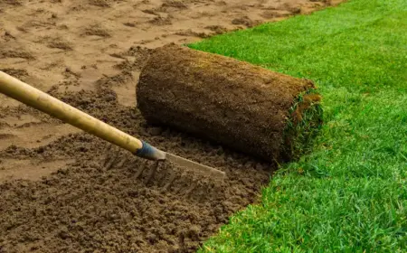 mit-einem-rechen-oder-anderem-gartenwerkzeug-wie-spaten-einen-unebenen-boden-fuer-rollrasen-vorbereiten