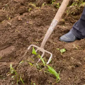 ohne-den-gartenboden-umgraben-zu-muessen-das-eindringen-von-unkrautsamen-verhindern