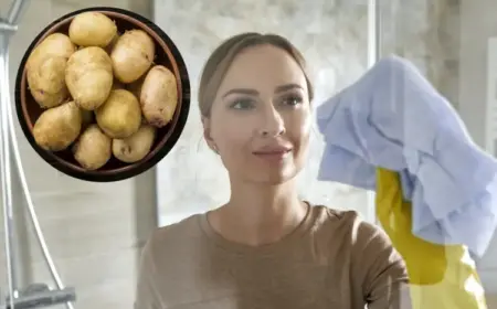 putzen mit kartoffeln duschwand aus glas und armaturen reinigen