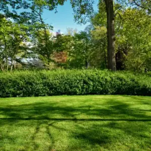 Rasen düngen mit Hausmitteln - Pflegen Sie den Garten mit organischem Rasendünger