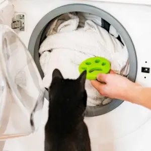 Wie kann man die Haare in der Waschmaschine loswerden?