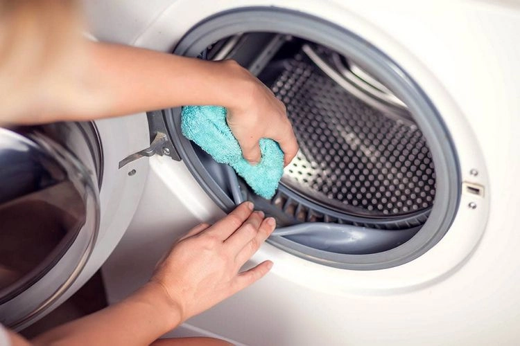 Wischen Sie die Waschmaschine aus, um lose Haare zu entfernen
