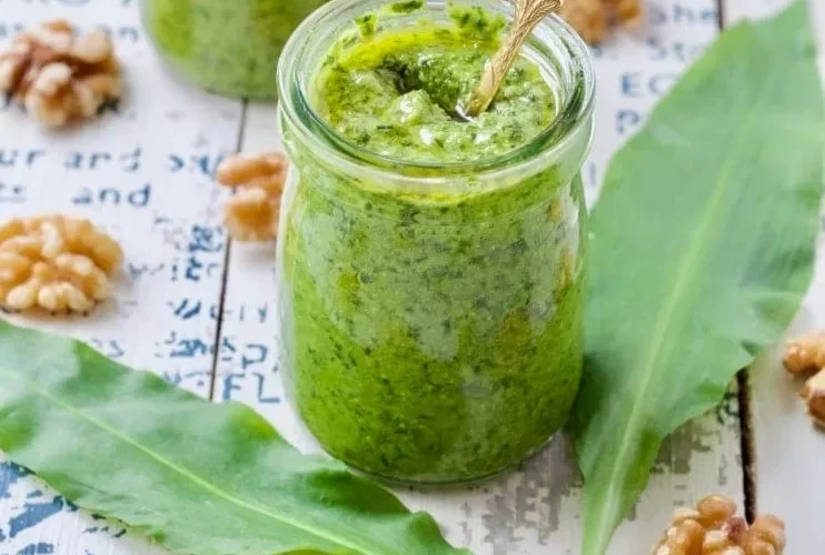 Bärlauchpesto mit Walnüssen selber machen schnelles Rezept