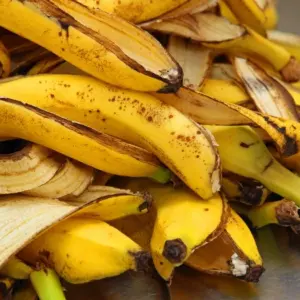 Bananenschalen im Garten verwenden - Neben Dünger & Kompost haben sie noch andere tolle Nutzen