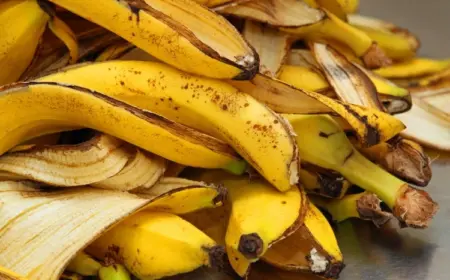 Bananenschalen im Garten verwenden - Neben Dünger & Kompost haben sie noch andere tolle Nutzen
