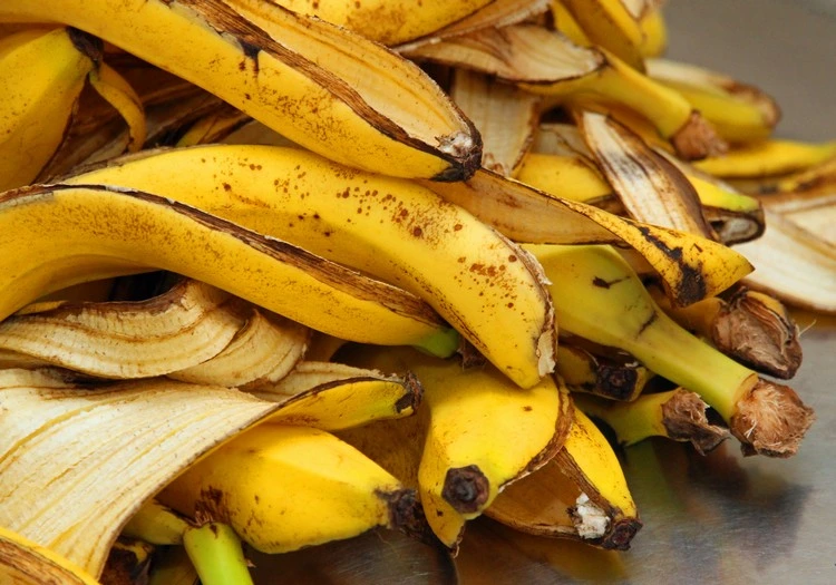 Bananenschalen im Garten verwenden - Neben Dünger & Kompost haben sie noch andere tolle Nutzen