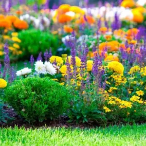 blumen für extreme sonne bepflanzen