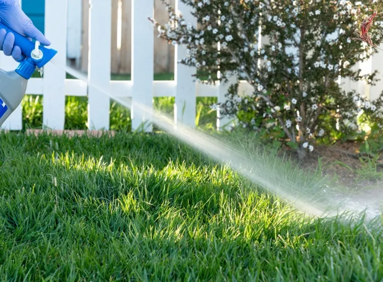 Den Garten gegen Zecken behandeln