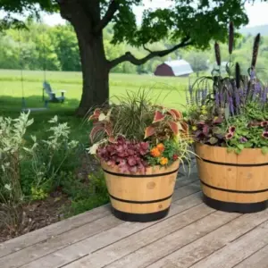 Große Kübel bepflanzen - Ideen für Arrangements mit Blumen