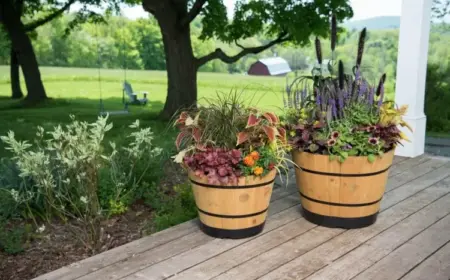 Große Kübel bepflanzen - Ideen für Arrangements mit Blumen