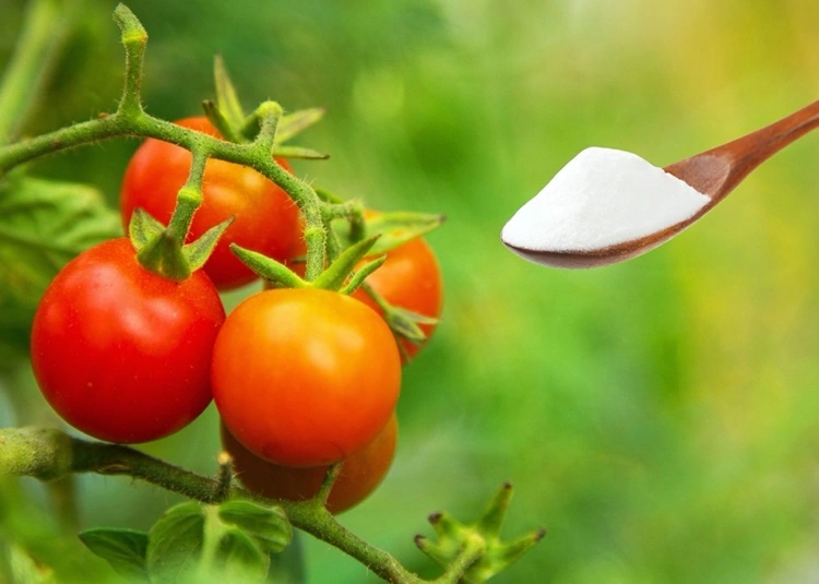 Kann Natron Tomaten süßer machen