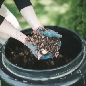 kompostieren schneller mit Beschleuniger aus Hausmitteln