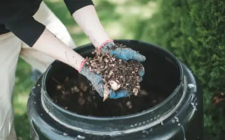 kompostieren schneller mit Beschleuniger aus Hausmitteln