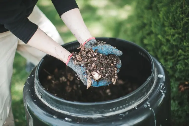 kompostieren schneller mit Beschleuniger aus Hausmitteln