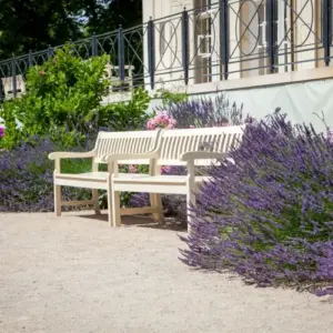 Lavendel mit anderen Pflanzen kombinieren im Garten mit voller Sonne