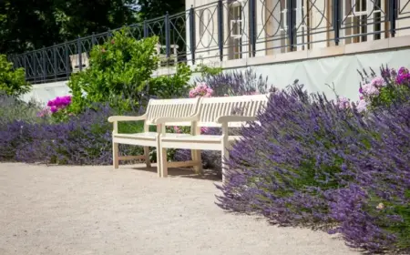 Lavendel mit anderen Pflanzen kombinieren im Garten mit voller Sonne