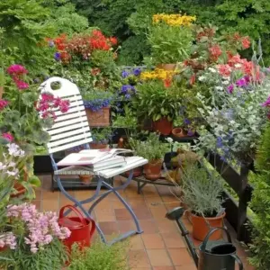 Mediterrane Pflanzen verleihen Ihrer Terrasse oder Ihrem Balkon einen exotischen und reizvollen Charakter