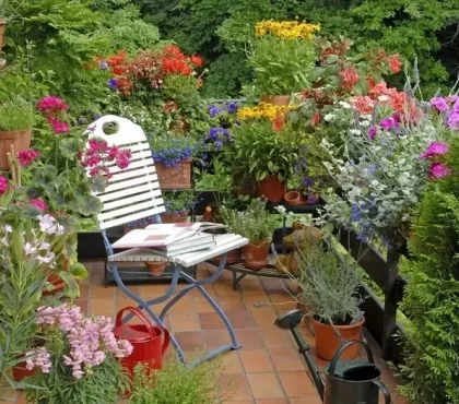 Mediterrane Pflanzen verleihen Ihrer Terrasse oder Ihrem Balkon einen exotischen und reizvollen Charakter