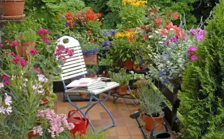 Mediterrane Pflanzen verleihen Ihrer Terrasse oder Ihrem Balkon einen exotischen und reizvollen Charakter