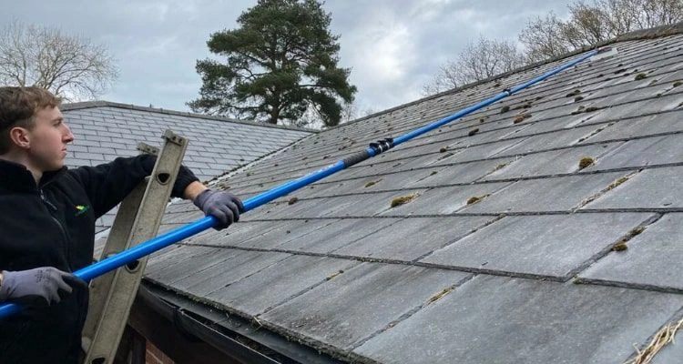 Moos vom Dach entfernen - Tipps und Mittel