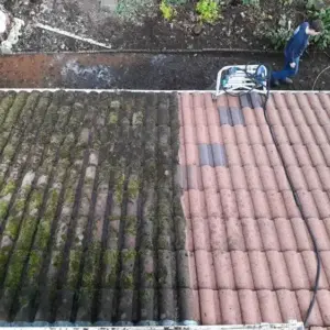 Moos vom Dach entfernen - wie Sie Ihr Dach reinigen können