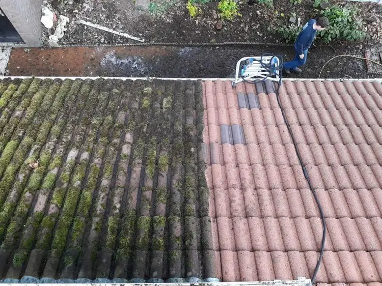 Moos vom Dach entfernen - wie Sie Ihr Dach reinigen können