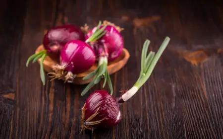 nach-laengerer-aufbewahrung-rote-keimende-zwiebel-essen-und-durch-kochen-zubereiten