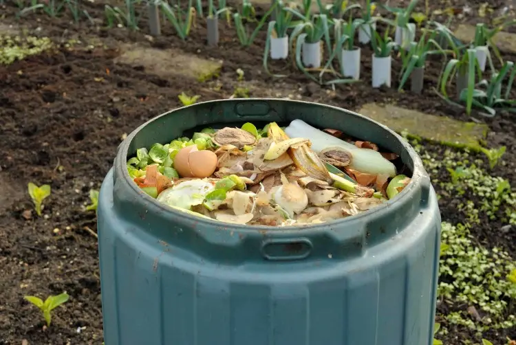 schneller kompostieren im Nutzgarten Anleitung