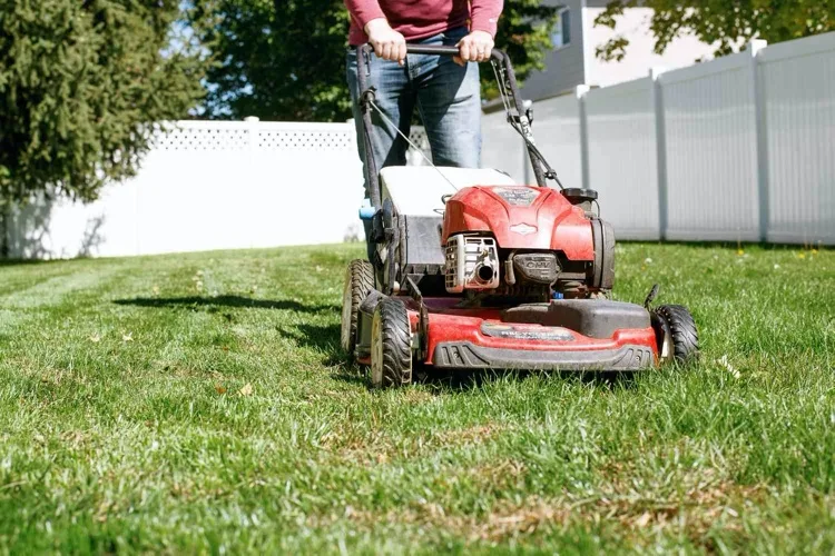 Tipps für einen zeckenfreien Garten rasen mähen