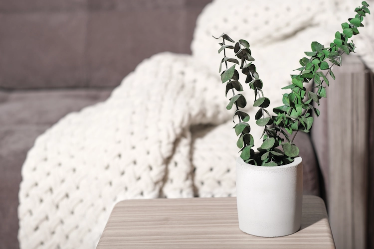 vertrocknete-zweige-einer-eukalyptuspflanze-als-dekoration-im-wohnzimmer-verwenden