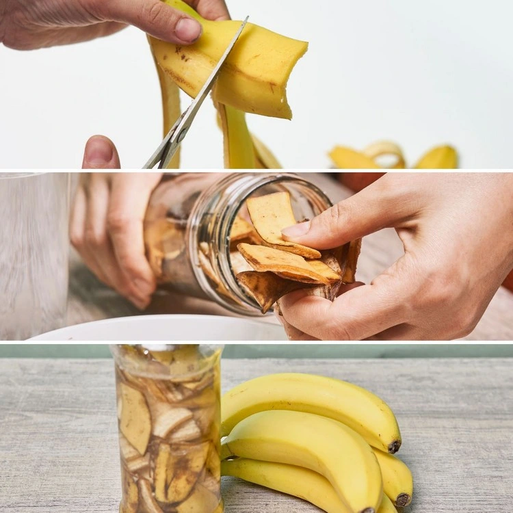 bananenschalen extrakt ist ein perfekter blattlaus killer