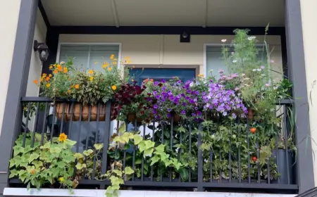 bienenblumen für balkonkasten diese 8 pflegeleichten pflanzen helfen bestäubern