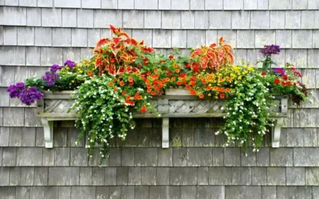 Blumenkasten bepflanzen mit Beispielen für den Sommer - Ideen für Sonne und Schatten