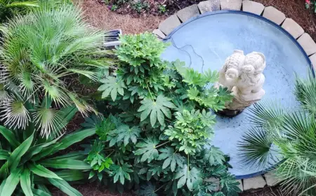 dekorative-kleine-wasserstelle-im-garten-mit-bepflanzung-verschoenert-den-look