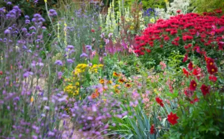 gartenarbeit im mai 6 wichtige aufgaben