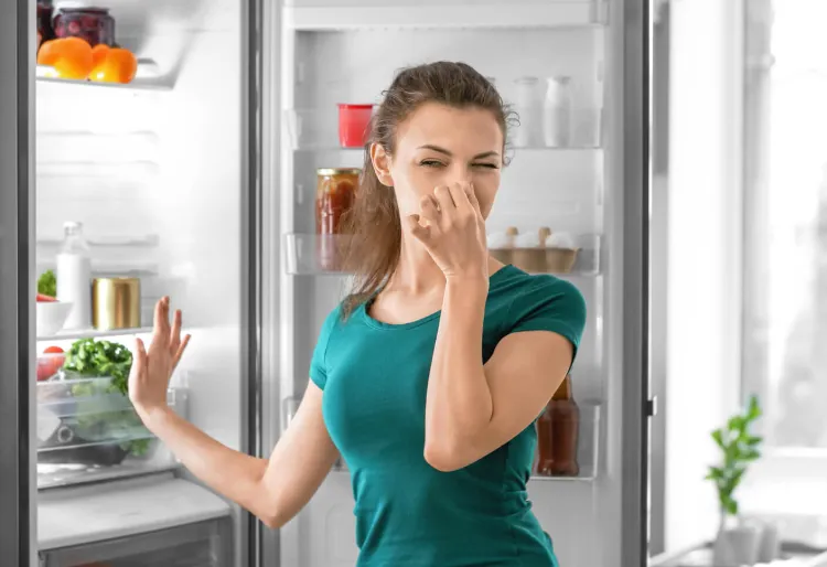 geruch aus kühlschrank entfernen mit backpulver wie kühlschrank putzen