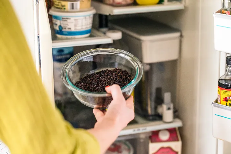 geruch im kühlschrank entfernen kaffeebohnen gerüche aus der küche loswerden