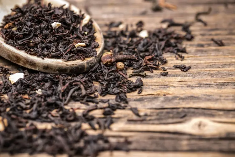Hausmittel gegen Blattläuse an Rosen - Schwarzer Tee oder Kaffee bei Blattlausbefall