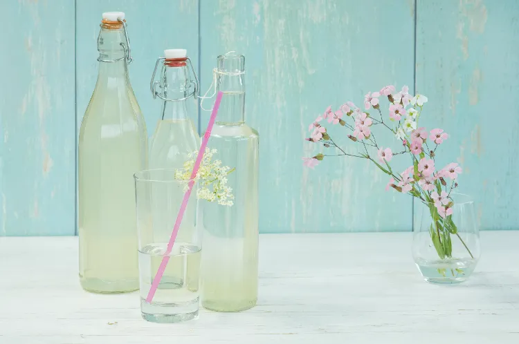 holunderblütensirup rezept wofür holunderblüten verwenden getränke