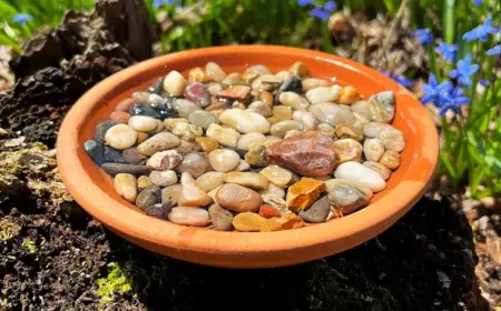 insektentränke im garten selber bauen einfache diy ideen