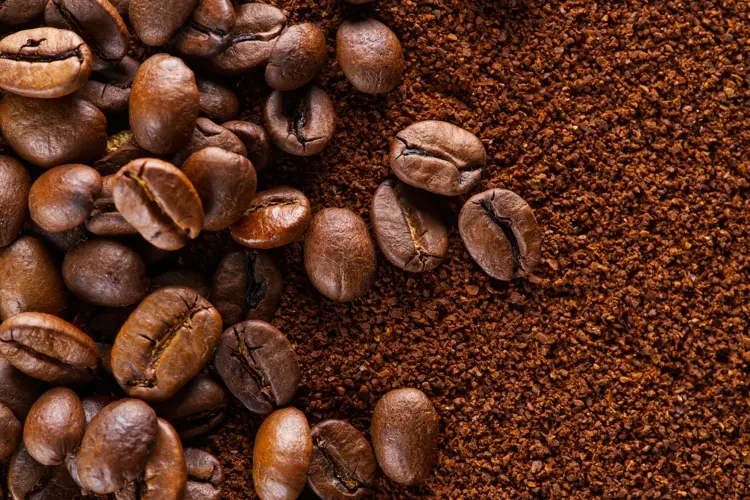Kaffeepulver ist stärker und vertreibt Nacktschnecken