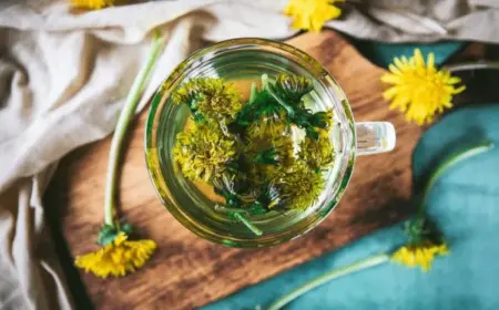 löwenzahntee selbst machen rezept