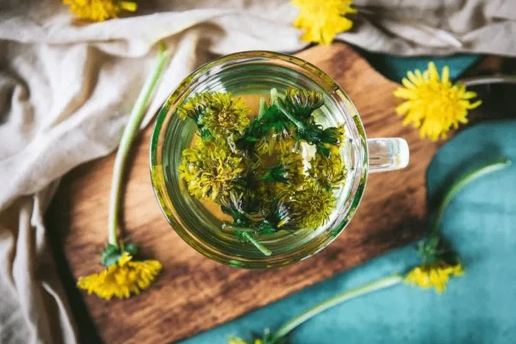 löwenzahntee selbst machen rezept